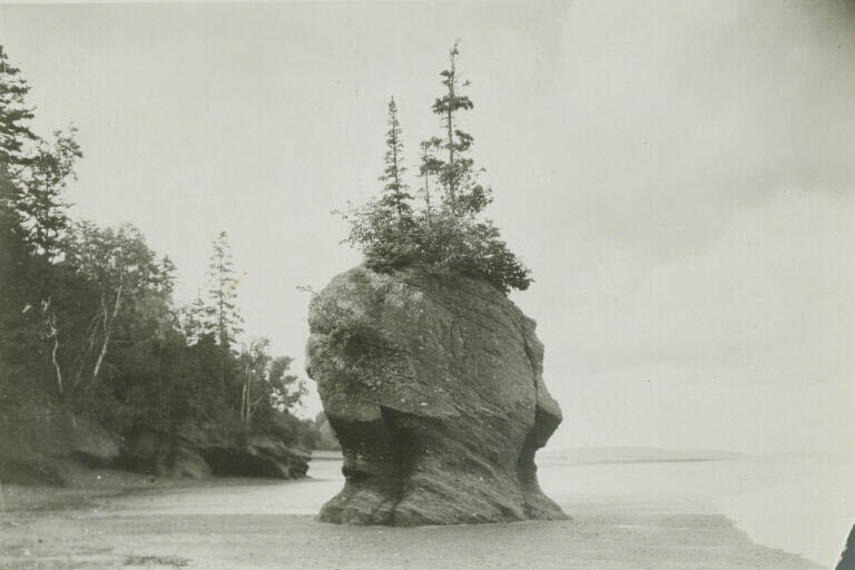 Black and white photograph of tall rock formation surrounded by water with trees on top