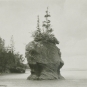 Black and white photograph of tall rock formation surrounded by water with trees on top