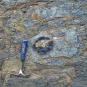 Colour photograph of rock face with black circular fossil in center and hammer for scale
