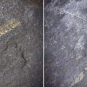 Double colour image of gray rock with diagonal, green, branch-like fossils