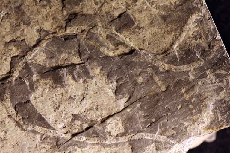 Colour image of brown rock with light brown winding trail