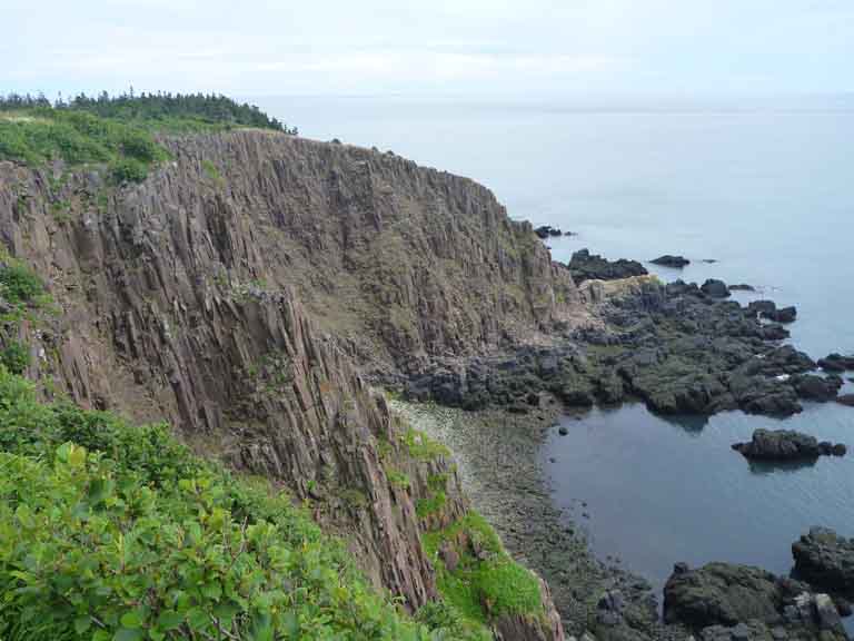 Colour photograph of a gray rock cliff along the ocean with green field on top of the cliff