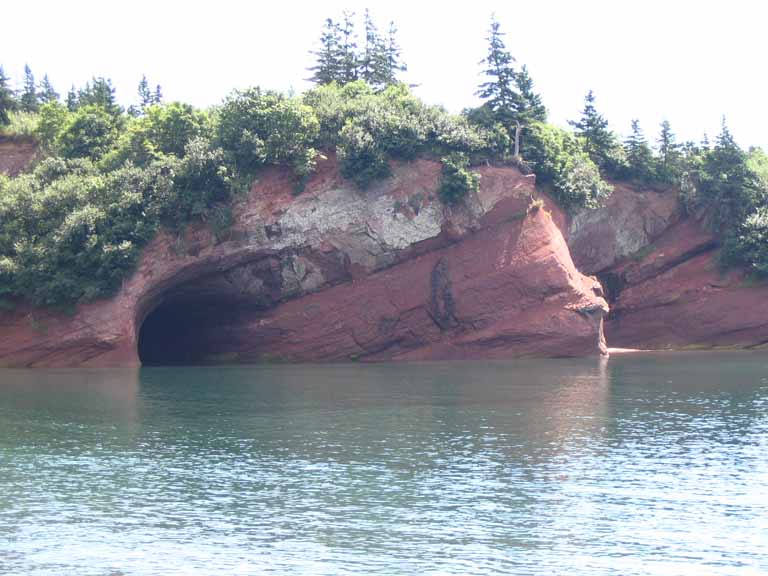 Photographie couleur d’une falaise en roche rouge au bord de l’océan avec des arbres au sommet