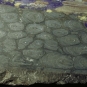 Colour image of gray rock with light gray circles