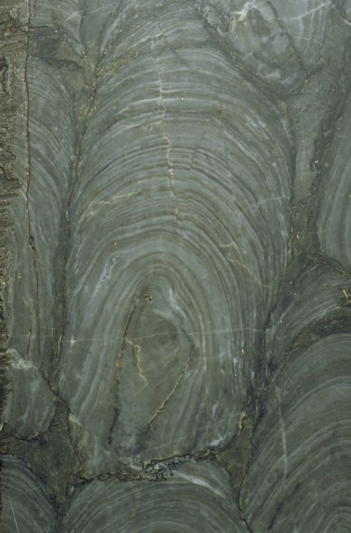 Image couleur de roche grise avec cercles gris clair