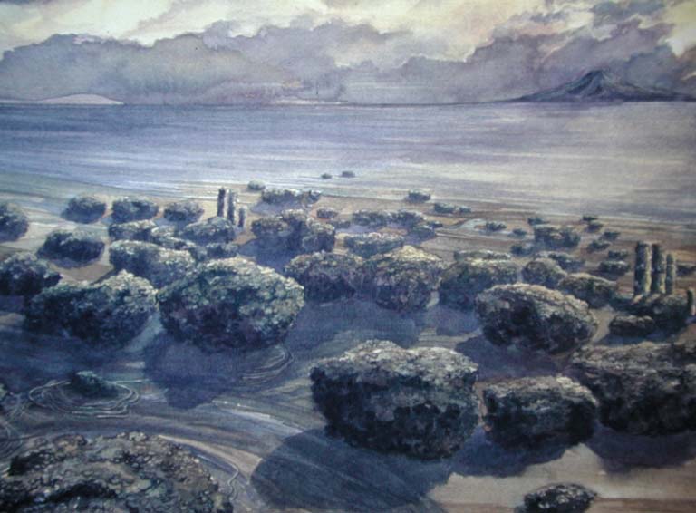 Image couleur du ciel, de l'eau et de plantes rondes