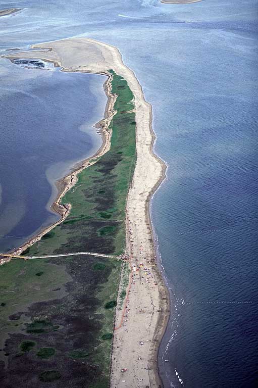 Photographie couleur d’une barre de sable couverte de végétation verdoyante, avec l’océan de part et d’autre