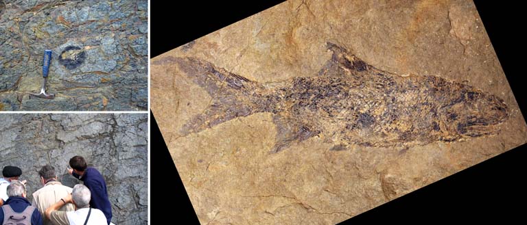 Double image couleur : paroi rocheuse rouge et eau, grottes et falaises rocheuses au bord de l’océan