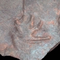 Colour photograph of a red rock with footprint shaped bumps