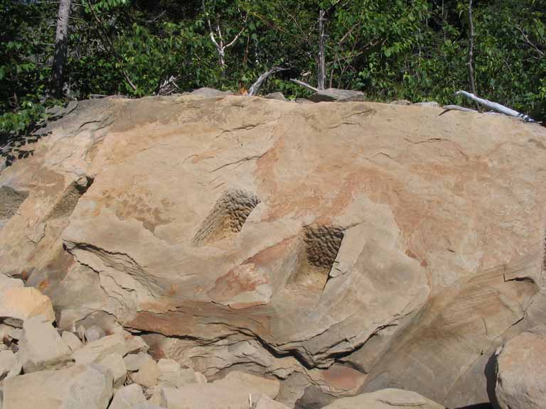 Colour photograph of a brown rock with trees behind it
