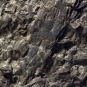Colour photograph of a black rock